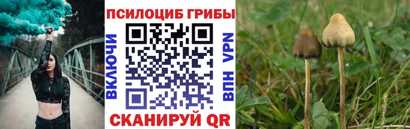 Галлюциногенные грибы мицелий  цена наркотик  Сосновоборск 