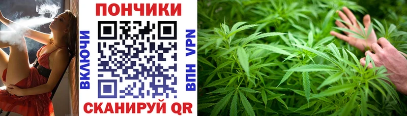 наркотики  Сосновоборск  Бошки Шишки планчик 